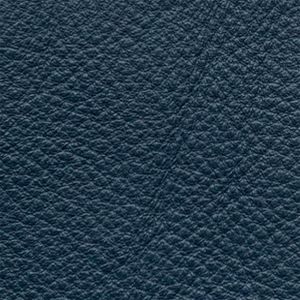 ANILINE LEATHER-TWILIGHT BLUE