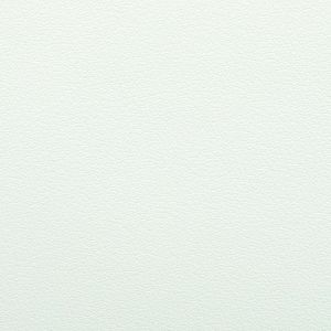 VEGAN LEATHER-WINTER WHITE